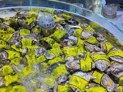 -聚盛源蒸汽海鲜火锅烤肉自助(巨川金海岸购物广场店)