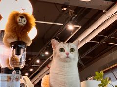 -咖法森林·咖啡  酒吧(天河店)