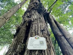 -成都杜甫草堂博物馆
