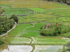 -靖西鹅泉风景区