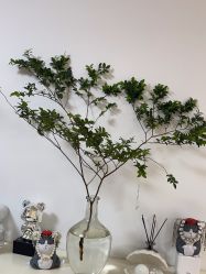 -美肤盾祛痘·问题肌头疗管理中心