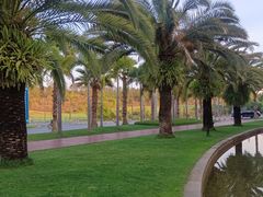 -湖泉水云间餐厅·弥勒地道菜(B座店)