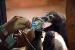 -酷嗒动物文化乐园(cutezoo西溪乐天城店)