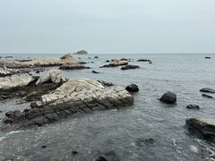 -养马岛旅游度假区