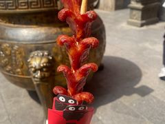 -黑色经典臭豆腐·湖南特产(坡子街店)