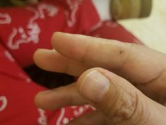 -金石国际大酒店·金丽自助餐厅