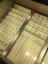 点击看大图 -周大福CHOW TAI FOOK(南京东路永安百货店)