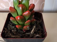 -无为足道(中南二路店)