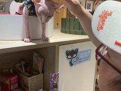 -藏猫猫咖啡主题馆(中央大道店)