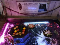 -燕喜堂·中华老字号(大明湖店)