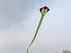 -绿堤公园