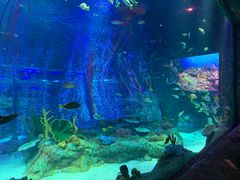 -沈阳海洋探索中心