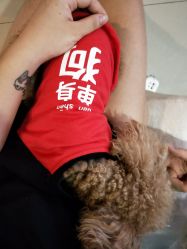 -Hands Nail专业美甲美睫