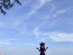 -广东惠东海龟国家级自然保护区