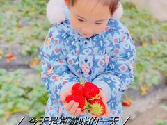 -小鱼草莓采摘园农家乐·小鱼餐厅