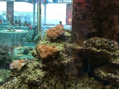-御唐府海珊瑚主题餐厅