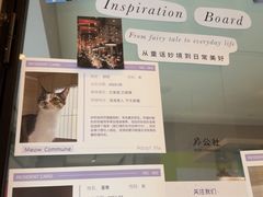 -Punchline Coffee&Roaster(同济大学店)