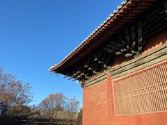 -善化寺