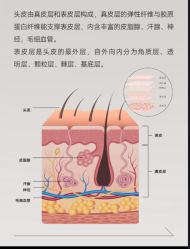 -Bollins波林丝•专研护发中心