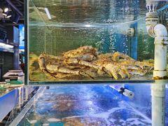 -岳各庄批发市场(西四环中路店)