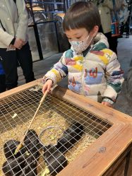 -酷嗒动物文化乐园(cutezoo西溪乐天城店)