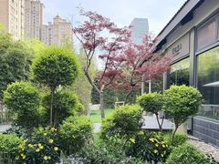 -虹之森·小馆