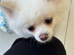 -怪兽屋·羊驼·猫咖·狗咖(俊华广场店)