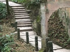 -青城山