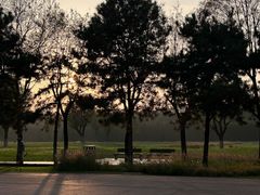 -汉长安城未央宫国家考古遗址公园