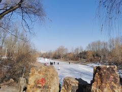 -长春公园(普阳街道)