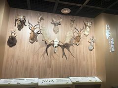 -陕西自然博物馆