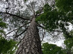 -东南悬空寺方广岩