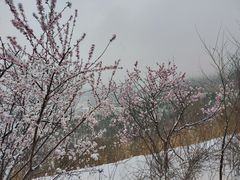 -定都阁