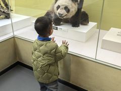 -国家自然博物馆