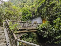 -鼎湖山风景区
