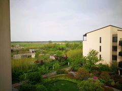 -上海崇明金茂凯悦酒店