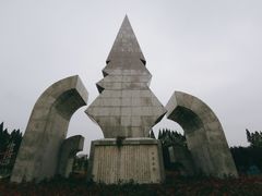 -水杉园