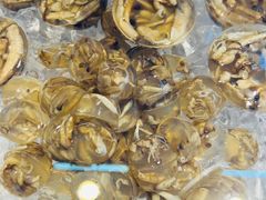 -铭聚章鱼土笋冻(松柏店)