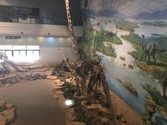 -自贡恐龙博物馆