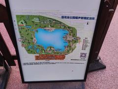 -莲花池公园