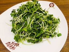 -韩邦朝天锅