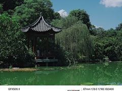 -云溪植物园