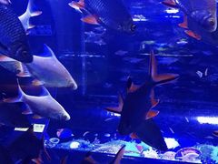 -成都浩海立方海洋公园