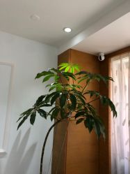 -HEYAN荷妍专业脱毛连锁机构