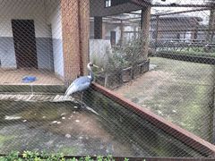 -南昌动物园