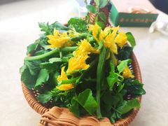 黄瓜菜-墨脱石锅椰子鸡•香草鸭•东山羊(大东海店)