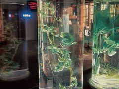 -广东中医药博物馆