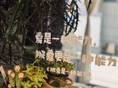 -思南书局(复兴中路店)