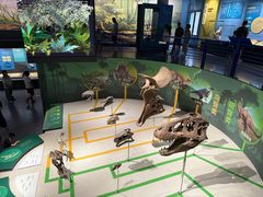 -国家自然博物馆