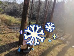 -四明山国家森林公园